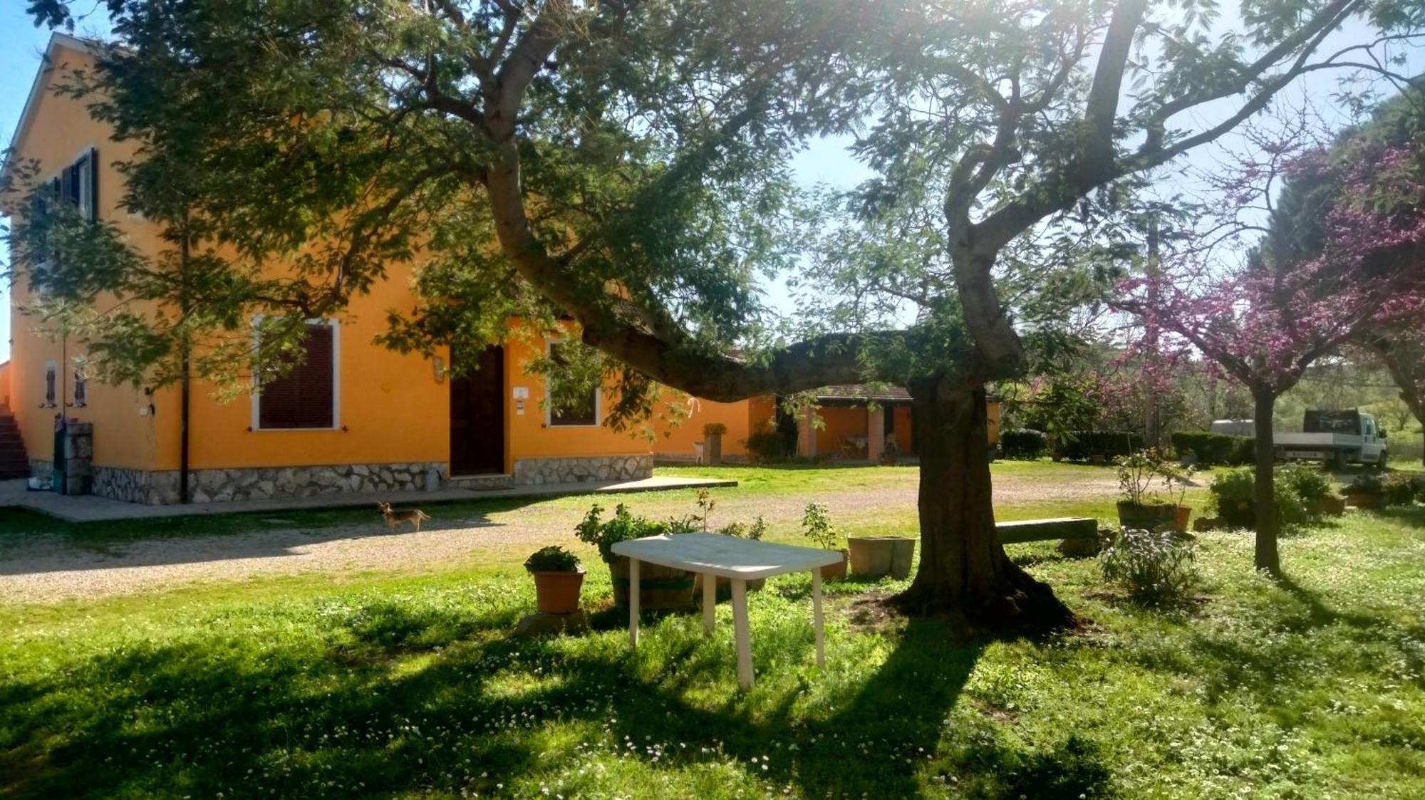 Agriturismo Da Remo Magliano in Toscana Δωμάτιο φωτογραφία
