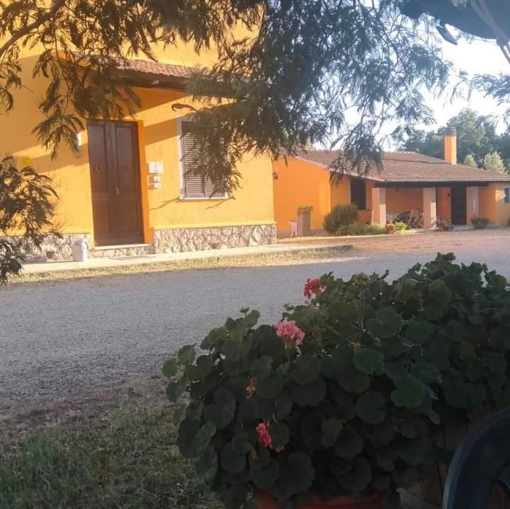 Agriturismo Da Remo Magliano in Toscana Εξωτερικό φωτογραφία