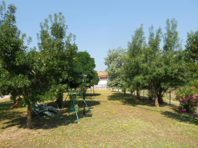 Agriturismo Da Remo Magliano in Toscana Εξωτερικό φωτογραφία
