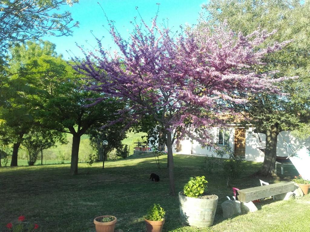 Agriturismo Da Remo Magliano in Toscana Εξωτερικό φωτογραφία